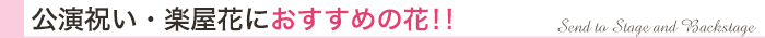 楽屋花・公演祝いにオススメの花