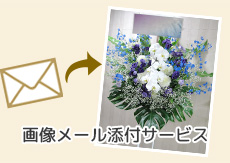 周年祝いの花 立札・カード無料