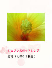 お任せアレンジ￥5000