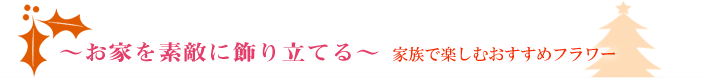 家族で過ごすクリスマス　オススメフラワー