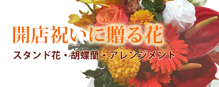 開店祝い 開業祝い スタンド花 胡蝶蘭 東京目黒の花屋 Jepung ジュプン