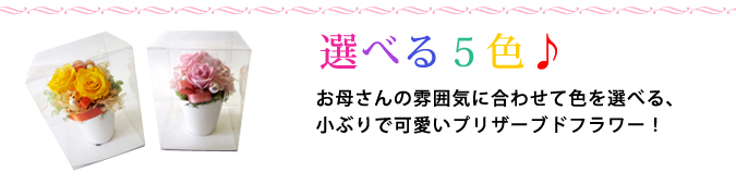 母の日プリザーブドフラワー