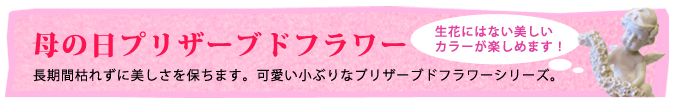 母の日プリザーブドフラワー