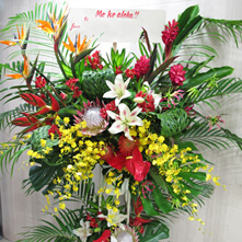 周年祝い 花　ハワイアン